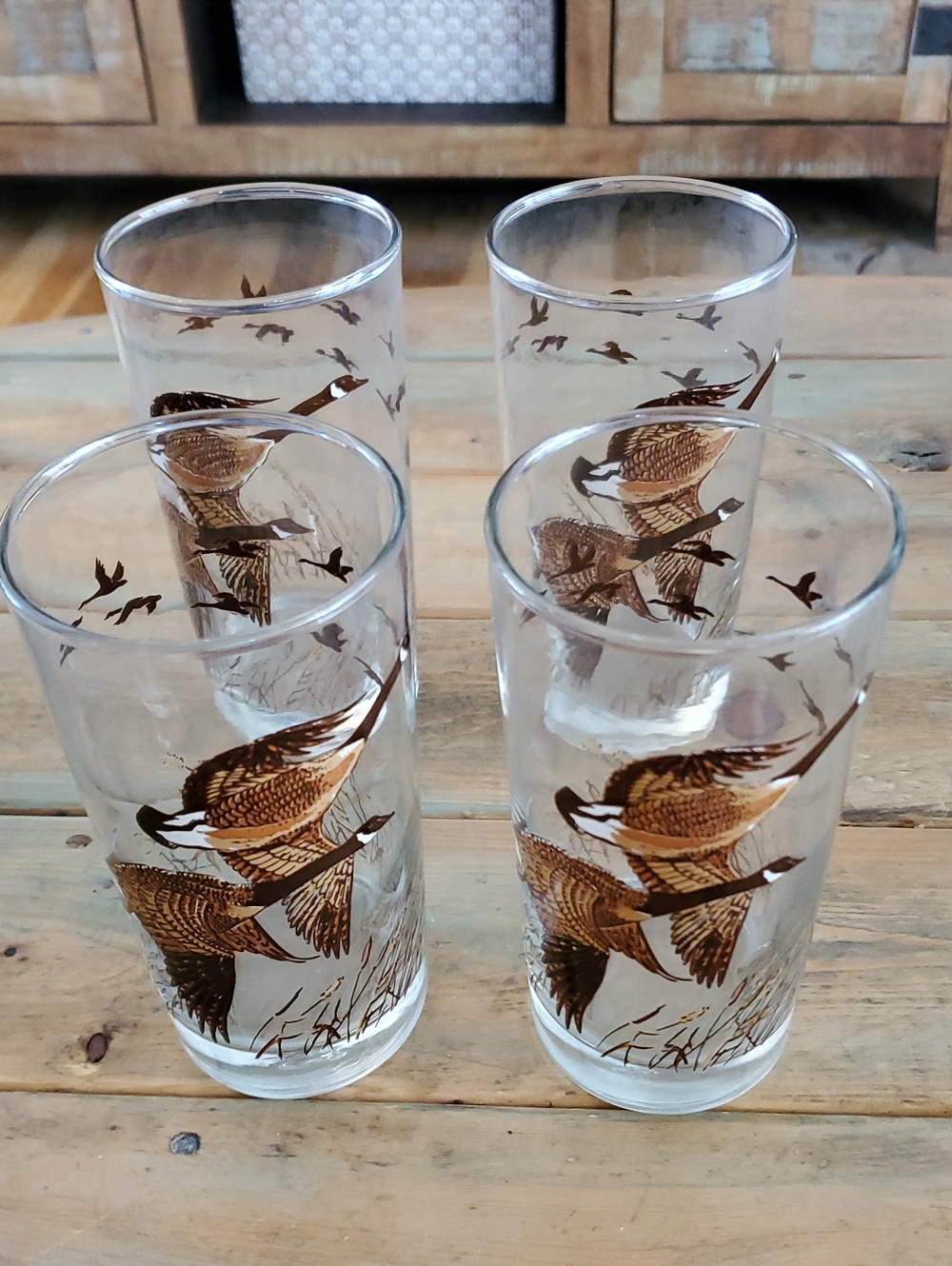 Set of 4 LIBBEY canadian  Glasses in Brown - Classic Nature Drinkware